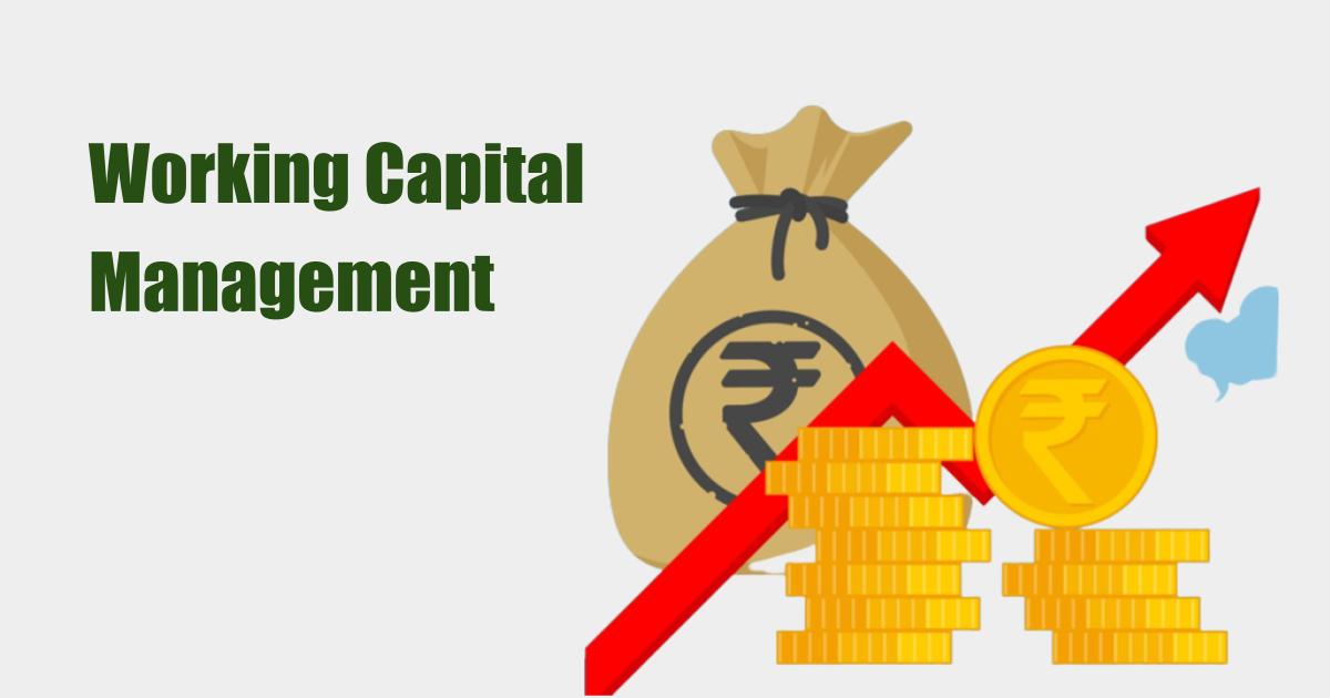 Capital Management - Definition